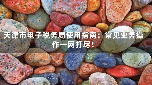 天津市电子税务局使用指南：常见业务操作一网打尽！