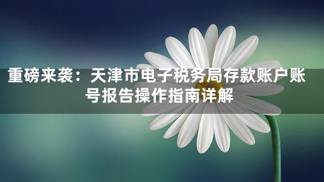 重磅来袭：天津市电子税务局存款账户账号报告操作指南详解