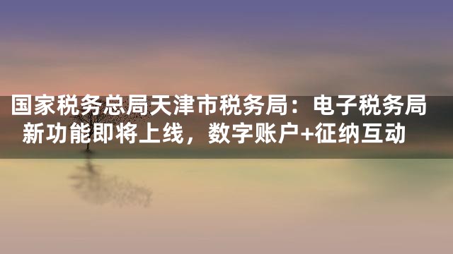国家税务总局天津市税务局：电子税务局新功能即将上线，数字账户+征纳互动