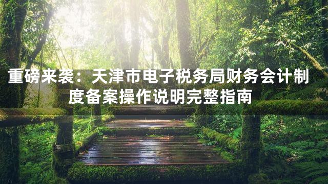 重磅来袭：天津市电子税务局财务会计制度备案操作说明完整指南
