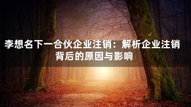 李想名下一合伙企业注销：解析企业注销背后的原因与影响