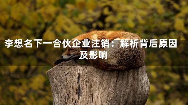 李想名下一合伙企业注销：解析背后原因及影响