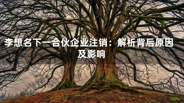 李想名下一合伙企业注销：解析背后原因及影响