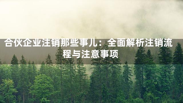 合伙企业注销那些事儿：全面解析注销流程与注意事项