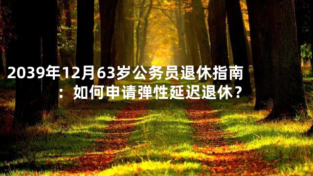 2039年12月63岁公务员退休指南：如何申请弹性延迟退休？