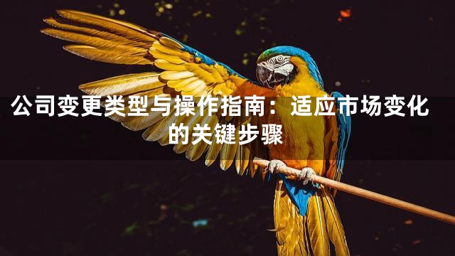 公司变更类型与操作指南：适应市场变化的关键步骤