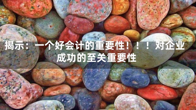 揭示：一个好会计的重要性！！！对企业成功的至关重要性