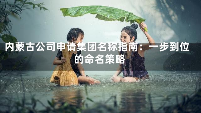 内蒙古公司申请集团名称指南：一步到位的命名策略