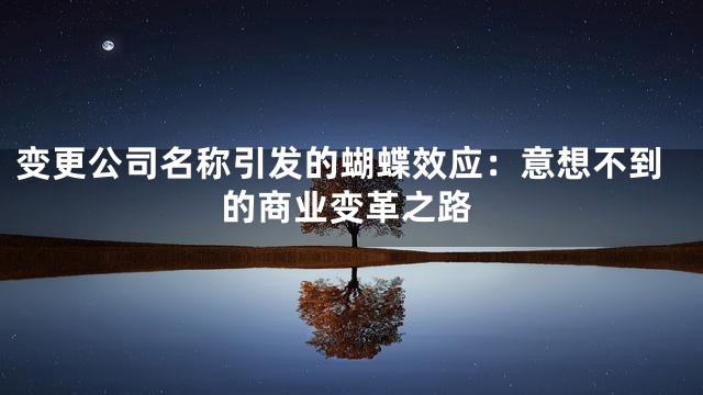 变更公司名称引发的蝴蝶效应：意想不到的商业变革之路
