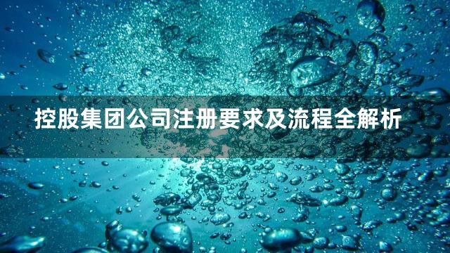 控股集团公司注册要求及流程全解析