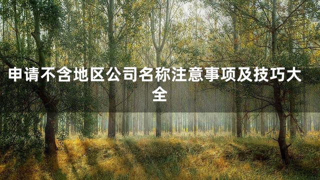 申请不含地区公司名称注意事项及技巧大全