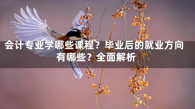 会计专业学哪些课程？毕业后的就业方向有哪些？全面解析