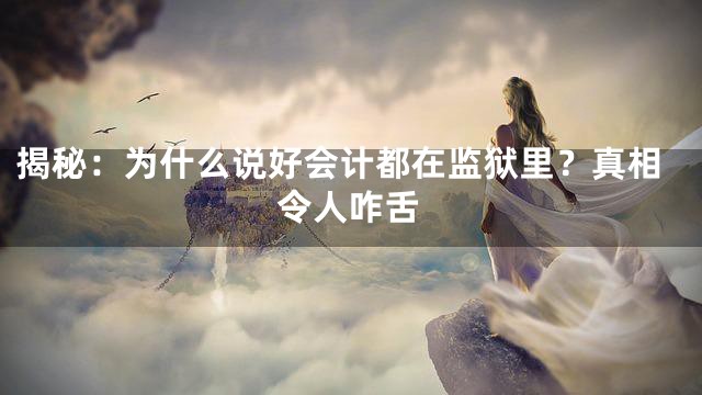 揭秘：为什么说好会计都在监狱里？真相令人咋舌