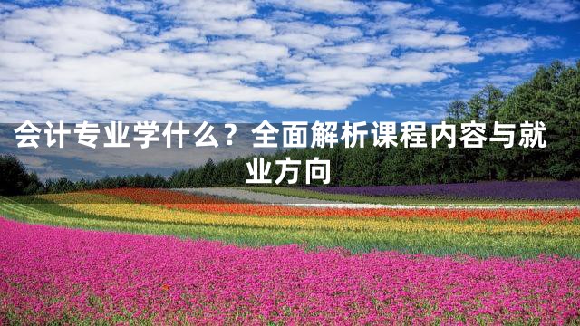 会计专业学什么？全面解析课程内容与就业方向
