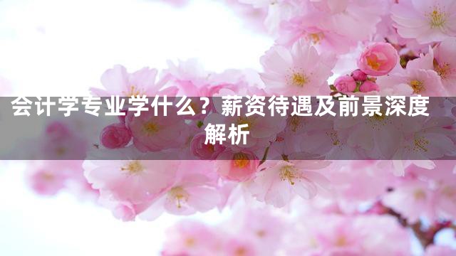 会计学专业学什么？薪资待遇及前景深度解析