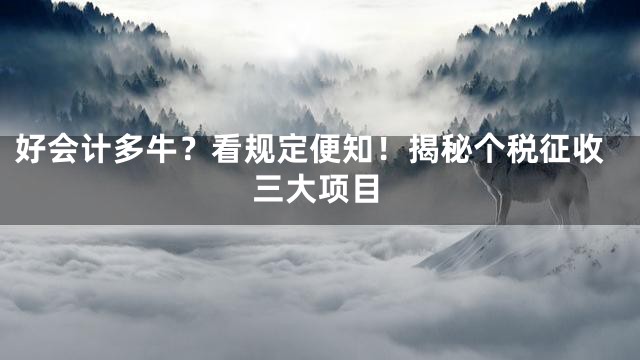 好会计多牛？看规定便知！揭秘个税征收三大项目