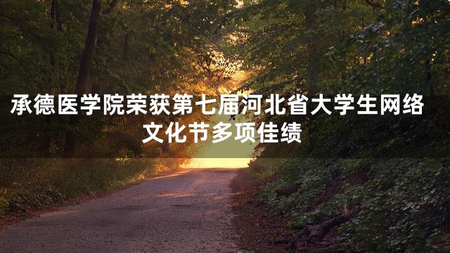 承德医学院荣获第七届河北省大学生网络文化节多项佳绩