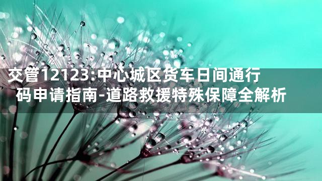 交管12123:中心城区货车日间通行码申请指南-道路救援特殊保障全解析