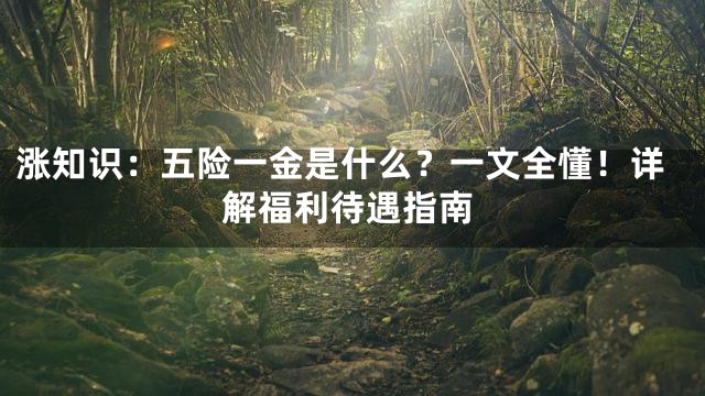 涨知识：五险一金是什么？一文全懂！详解福利待遇指南