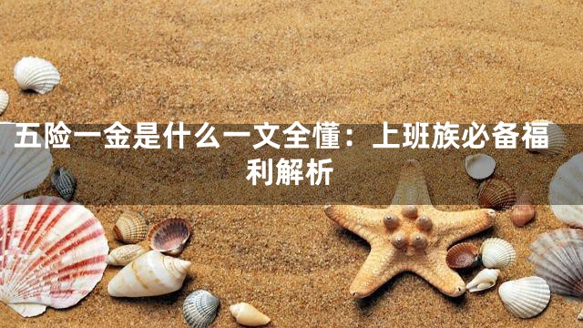 五险一金是什么一文全懂：上班族必备福利解析