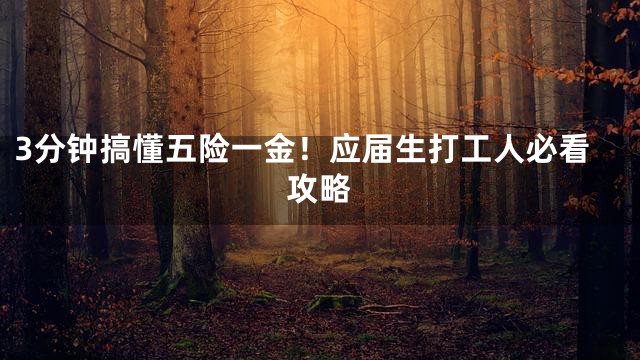 3分钟搞懂五险一金！应届生打工人必看攻略