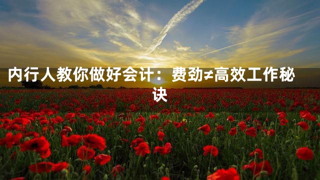 内行人教你做好会计：费劲≠高效工作秘诀