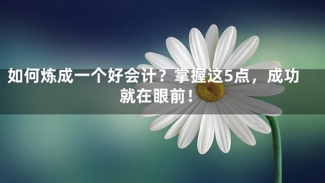 如何炼成一个好会计？掌握这5点，成功就在眼前！