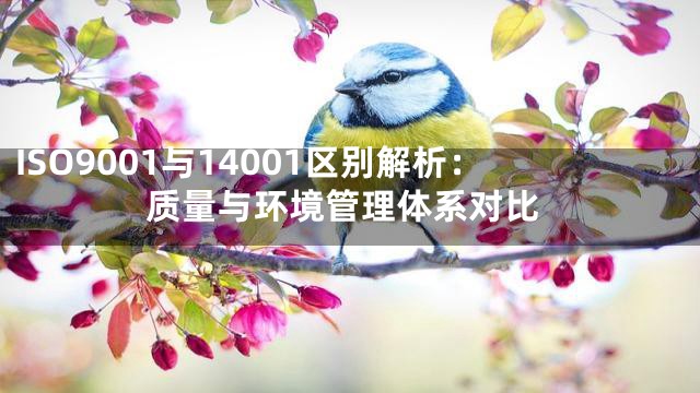 ISO9001与14001区别解析：质量与环境管理体系对比