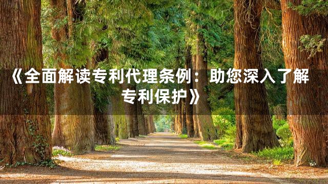 《全面解读专利代理条例：助您深入了解专利保护》