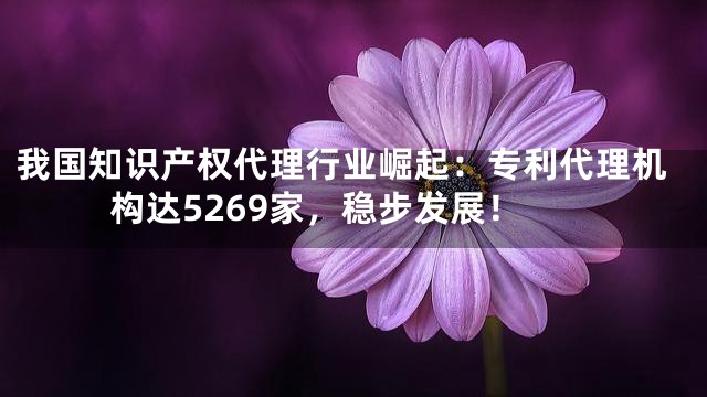 我国知识产权代理行业崛起：专利代理机构达5269家，稳步发展！