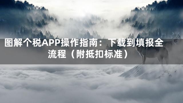 图解个税APP操作指南：下载到填报全流程（附抵扣标准）