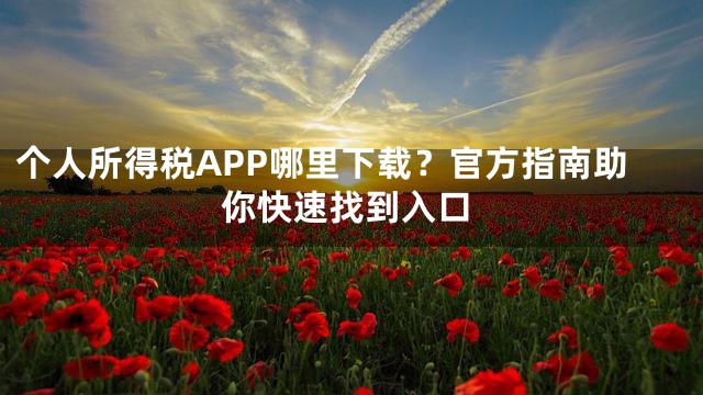 个人所得税APP哪里下载？官方指南助你快速找到入口