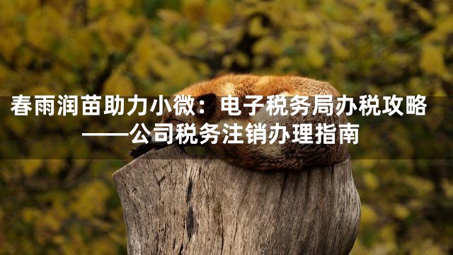 春雨润苗助力小微：电子税务局办税攻略——公司税务注销办理指南