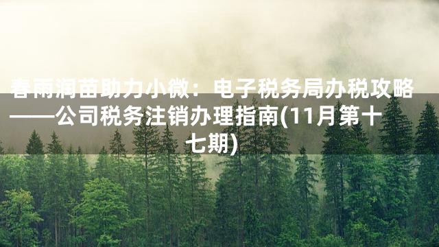 春雨润苗助力小微：电子税务局办税攻略——公司税务注销办理指南(11月第十七期)