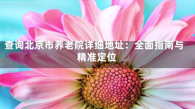 查询北京市养老院详细地址：全面指南与精准定位