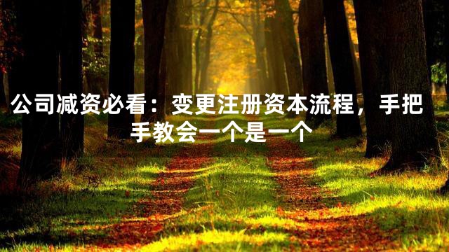 公司减资必看：变更注册资本流程，手把手教会一个是一个