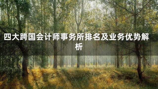 四大跨国会计师事务所排名及业务优势解析