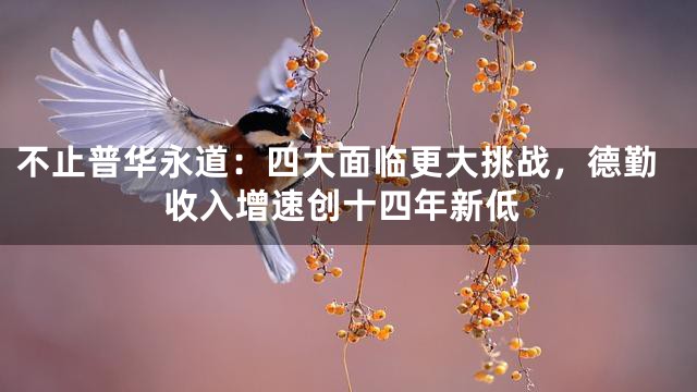 不止普华永道：四大面临更大挑战，德勤收入增速创十四年新低