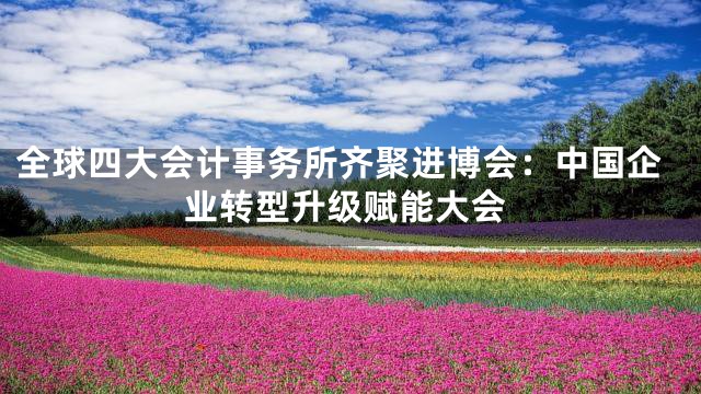 全球四大会计事务所齐聚进博会：中国企业转型升级赋能大会