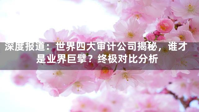 深度报道：世界四大审计公司揭秘，谁才是业界巨擘？终极对比分析