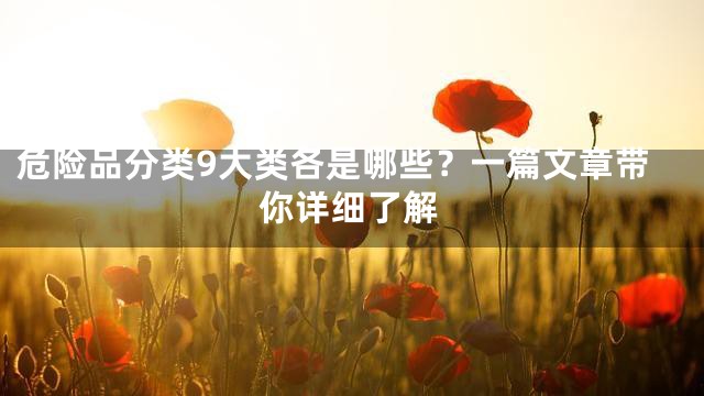 危险品分类9大类各是哪些？一篇文章带你详细了解