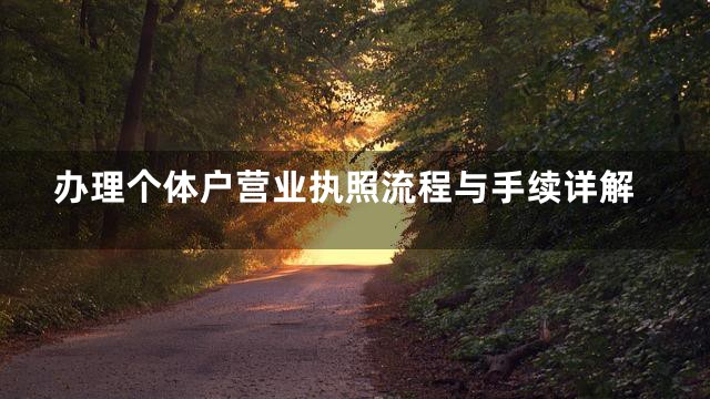 办理个体户营业执照流程与手续详解