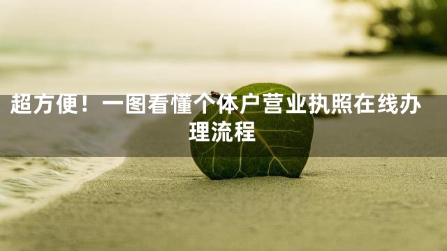 超方便！一图看懂个体户营业执照在线办理流程