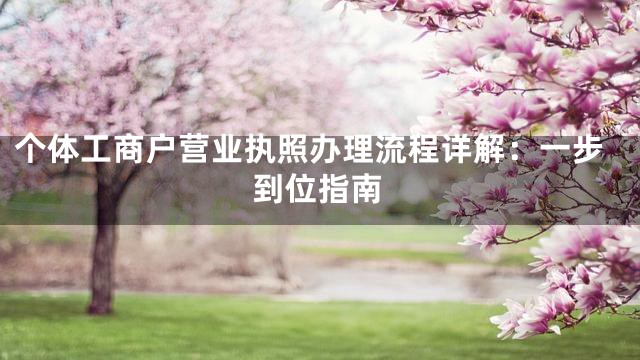 个体工商户营业执照办理流程详解：一步到位指南