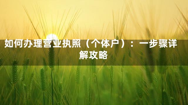 如何办理营业执照（个体户）：一步骤详解攻略
