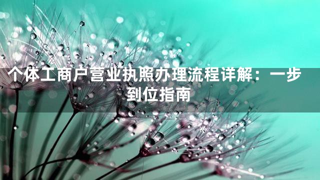 个体工商户营业执照办理流程详解：一步到位指南