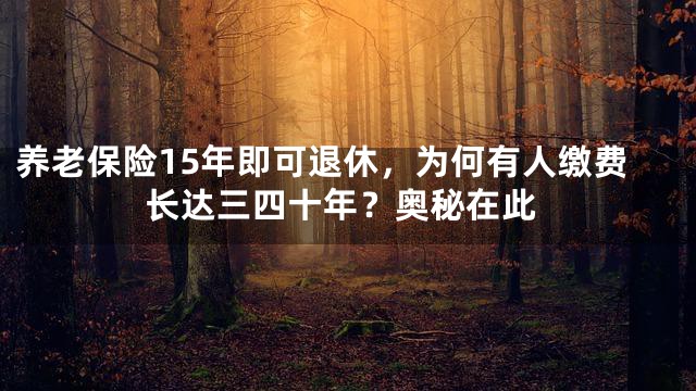 养老保险15年即可退休，为何有人缴费长达三四十年？奥秘在此