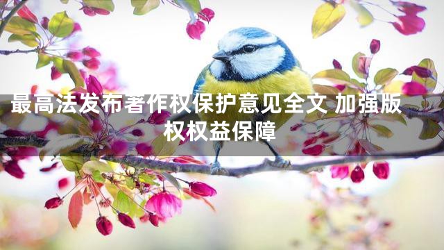 最高法发布著作权保护意见全文 加强版权权益保障