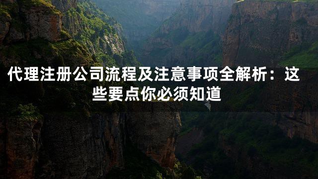 代理注册公司流程及注意事项全解析：这些要点你必须知道