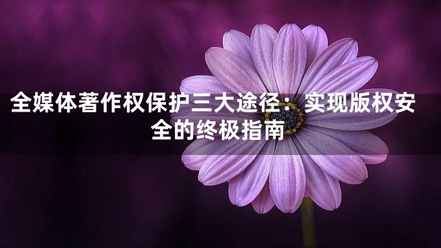 全媒体著作权保护三大途径：实现版权安全的终极指南